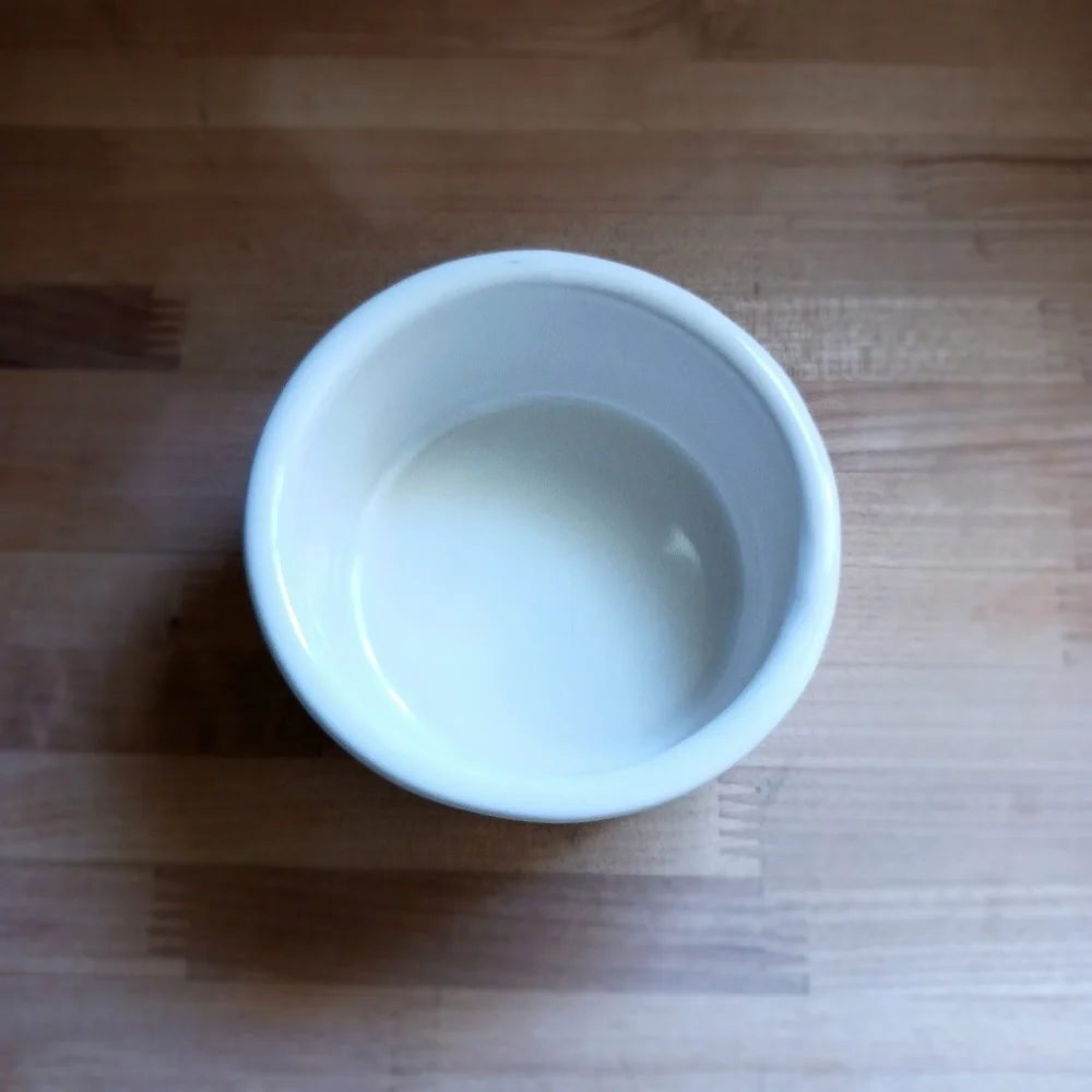 Stoneware cat dish